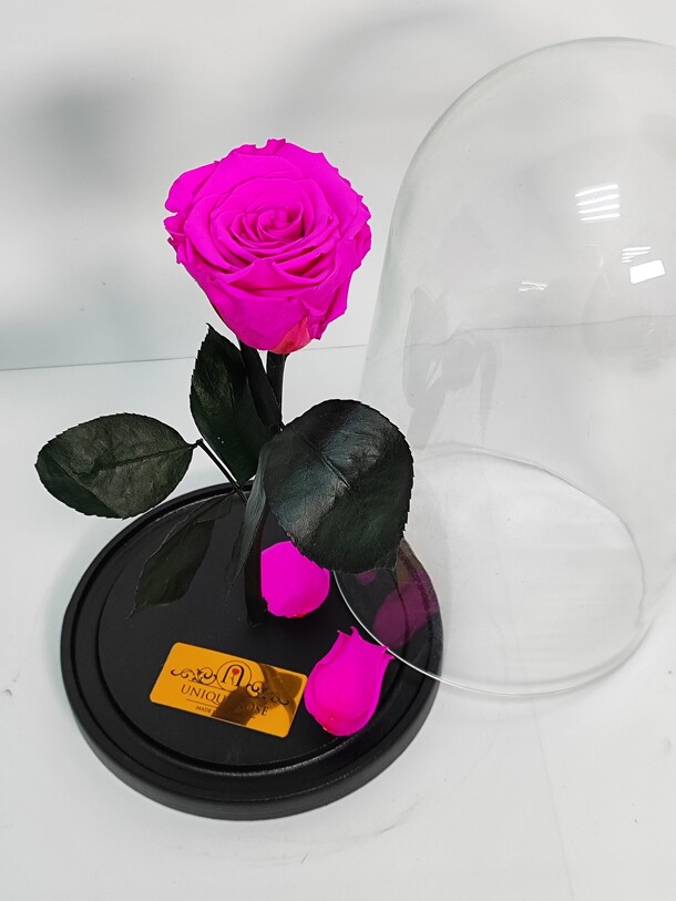 Роза в колбе, артикул F1339259 - 4800 рублей, доставка по городу. Flawery - доставка цветов