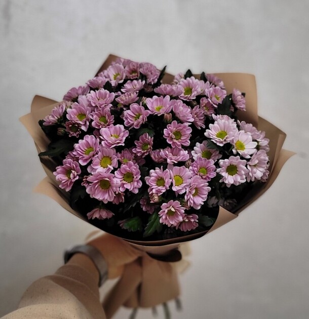 9 сантини, артикул F1311500 - 3900 рублей, доставка по городу. Flawery - доставка цветов