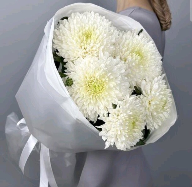 Хризантема магнум, артикул F1269454 - 3445 рублей, доставка по городу. Flawery - доставка цветов