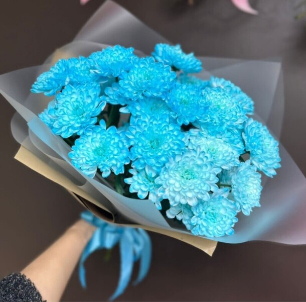 Хризантема кустовая 5, артикул F1385471 - 2536 рублей, доставка по городу. Flawery - доставка цветов