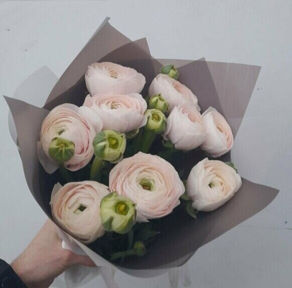 9 ранункулюсов, артикул F1221622 - 9950 рублей, доставка по городу. Flawery - доставка цветов