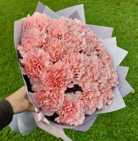 Букет нежно-розовая гвоздика, артикул F1221627 - 4150 рублей, доставка по городу. Flawery - доставка цветов