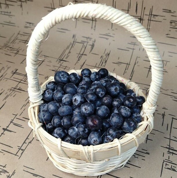 Корзина голубики №8, артикул F1277107 - 3550 рублей, доставка по городу. Flawery - доставка цветов