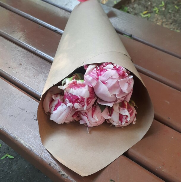 Букет 5 пионов сара бернар в крафте, артикул F1286924 - 5150 рублей, доставка по городу. Flawery - доставка цветов