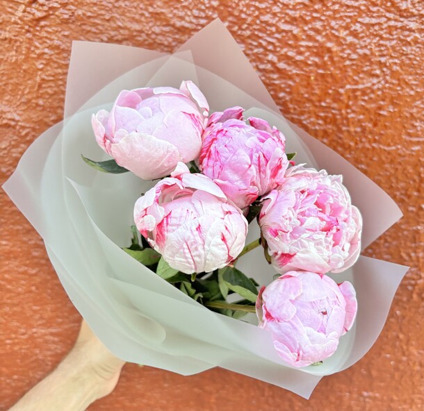 Букет из 5 пионов сара бернар, артикул F1313876 - 5150 рублей, доставка по городу. Flawery - доставка цветов