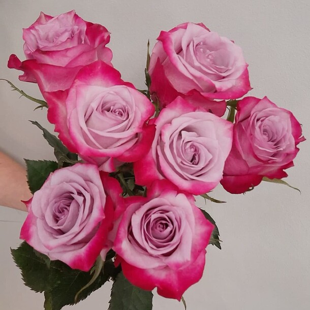 Розы, артикул F1073824 - 2264 рублей, доставка по городу. Flawery - доставка цветов