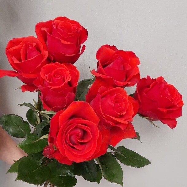 Розы, артикул F1073828 - 2264 рублей, доставка по городу. Flawery - доставка цветов