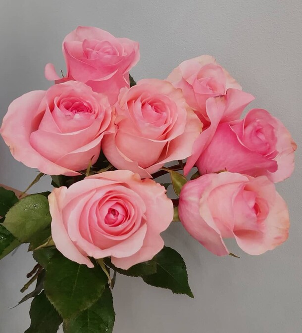 Розы, артикул F1073830 - 2264 рублей, доставка по городу. Flawery - доставка цветов