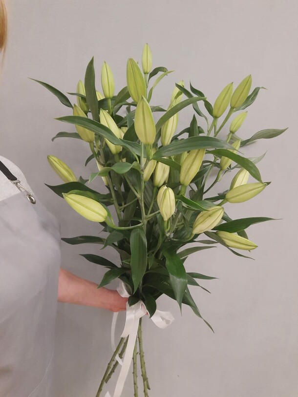 5 лилий под ленту, артикул F1080564 - 4536 рублей, доставка по городу. Flawery - доставка цветов