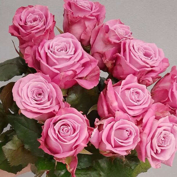 Букет 11 ароматных роз, артикул F1095677 - 3627 рублей, доставка по городу. Flawery - доставка цветов