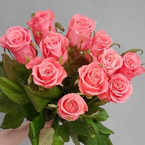 Букет 11 ароматных роз, артикул F1095680 - 3627 рублей, доставка по городу. Flawery - доставка цветов