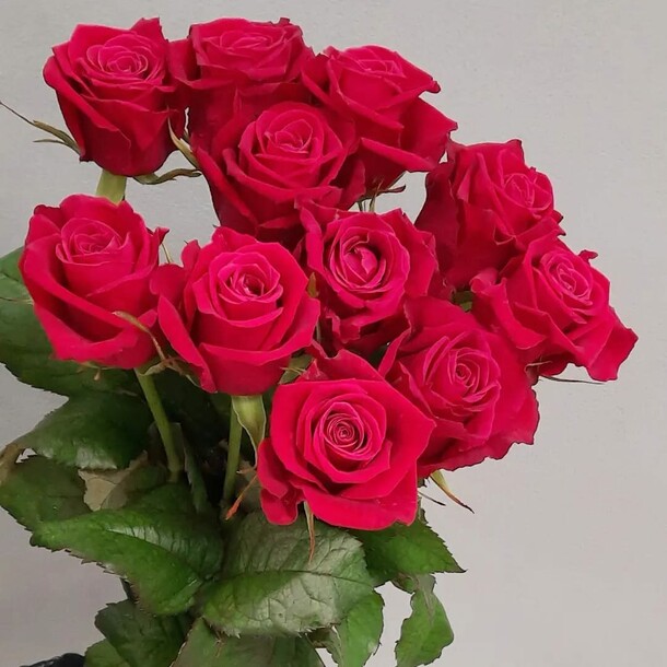 Букет 11 роз под ленту, артикул F1095687 - 3627 рублей, доставка по городу. Flawery - доставка цветов