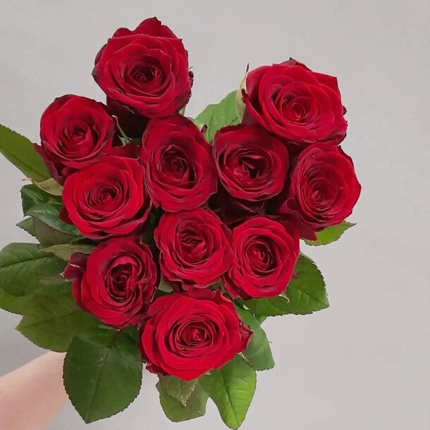 Букет 11 роз под ленту, артикул F1095688 - 3627 рублей, доставка по городу. Flawery - доставка цветов