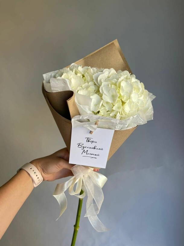 Рожок с гортензией, артикул F1256154 - 1900 рублей, доставка по городу. Flawery - доставка цветов