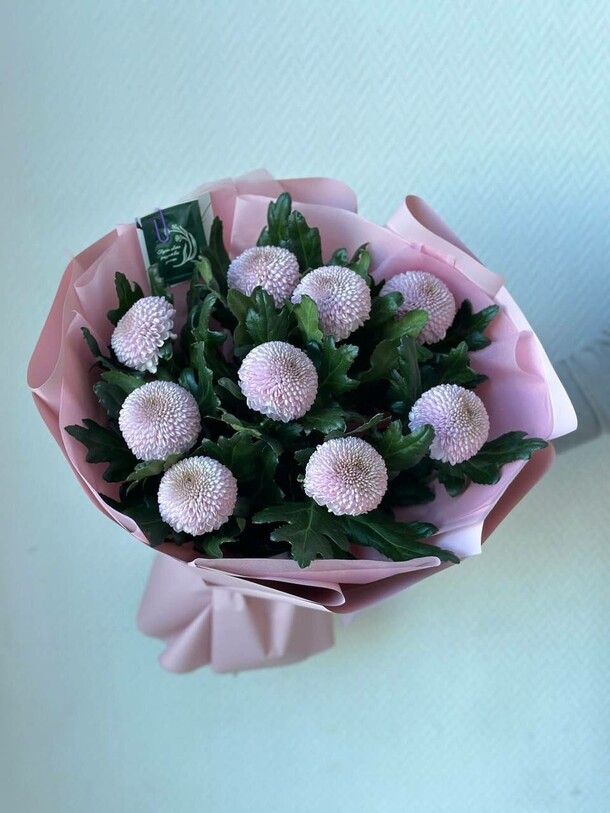 Хризантема момоко, артикул F1304530 - 6259 рублей, доставка по городу. Flawery - доставка цветов