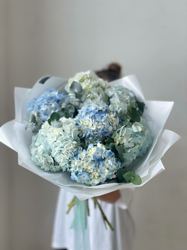 7 голубых гортензий, артикул F1339671 - 7249 рублей, доставка по городу. Flawery - доставка цветов