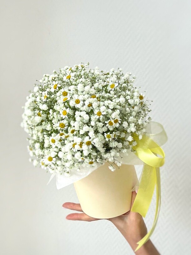 Ромашки в коробочке с гипсофидой, артикул F1402713 - 2449 рублей, доставка по городу. Flawery - доставка цветов