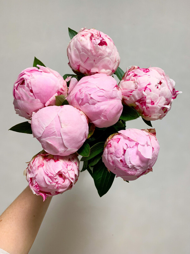 Ханами: букет из розовых пионов, артикул F1154862 - 8500 рублей, доставка по городу. Flawery - доставка цветов