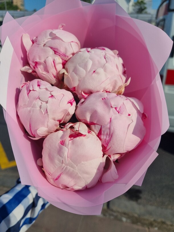 Букет из 5 пионы, артикул F1222862 - 6290 рублей, доставка по городу. Flawery - доставка цветов