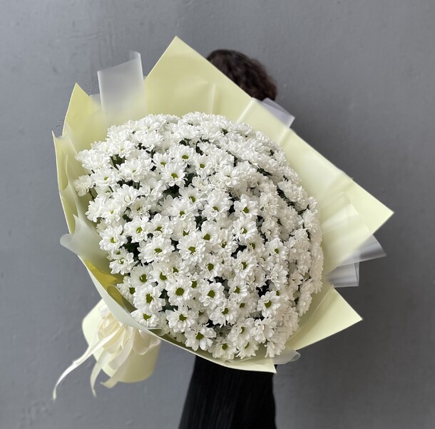 Огромный букет ромашковых хризантем, артикул F1219464 - 10230 рублей, доставка по городу. Flawery - доставка цветов