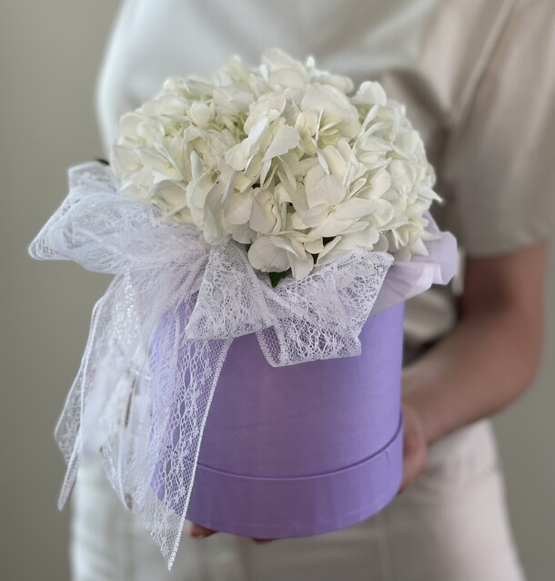 Гортензия белая в коробочке, артикул F1220540 - 2035 рублей, доставка по городу. Flawery - доставка цветов