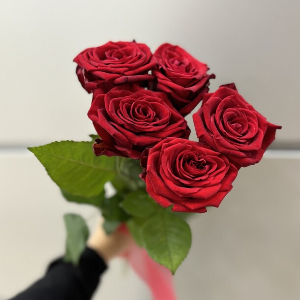 5 бархатных роз, артикул F1324654 - 2150 рублей, доставка по городу. Flawery - доставка цветов