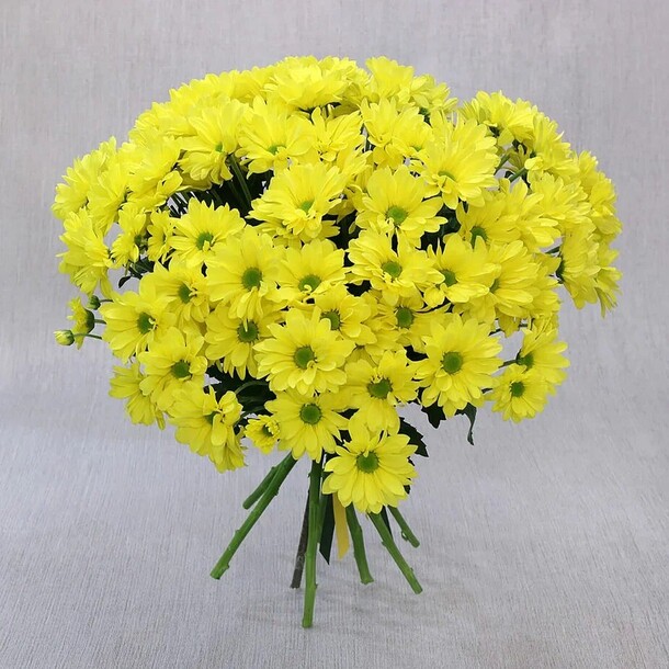Букет из 9 желтых кустовых хризантем, артикул F1273331 - 5324 рублей, доставка по городу. Flawery - доставка цветов
