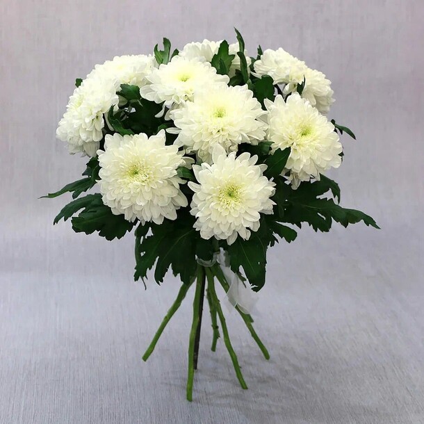 Букет из 9 белых хризантем, артикул F1273339 - 5324 рублей, доставка по городу. Flawery - доставка цветов