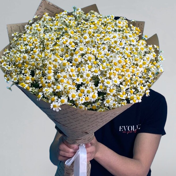 Ромашка, артикул F1146677 - 9500 рублей, доставка по городу. Flawery - доставка цветов