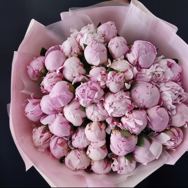 51 пион сара бернард, артикул F1148440 - 45000 рублей, доставка по городу. Flawery - доставка цветов