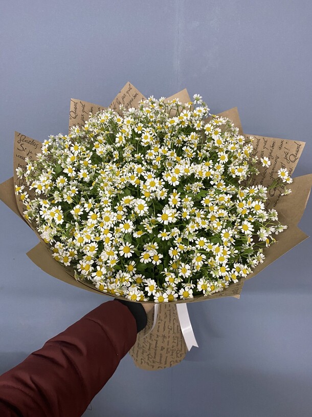 Букет из ромашек, артикул F1158548 - 9874 рублей, доставка по городу. Flawery - доставка цветов