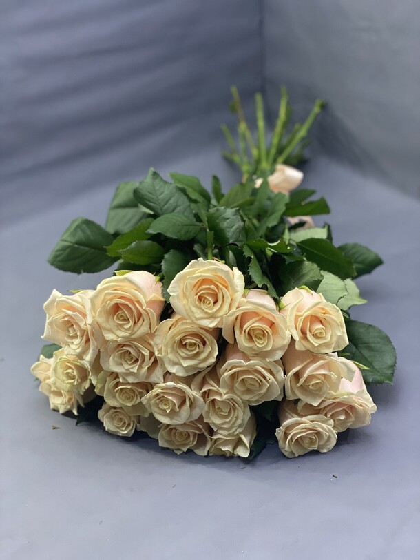 Роза кремовая 19 шт, артикул F1160904 - 6384 рублей, доставка по городу. Flawery - доставка цветов