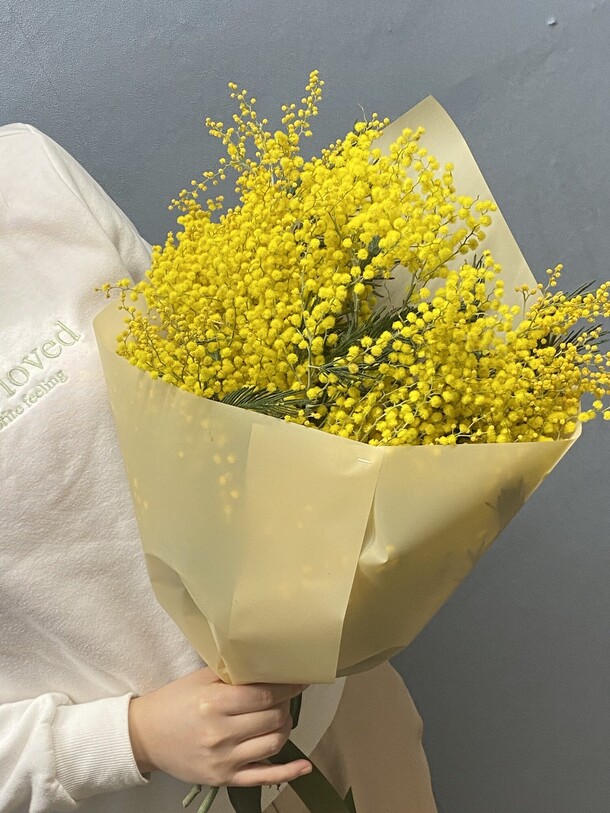 Мимоза, артикул F1168802 - 8275 рублей, доставка по городу. Flawery - доставка цветов