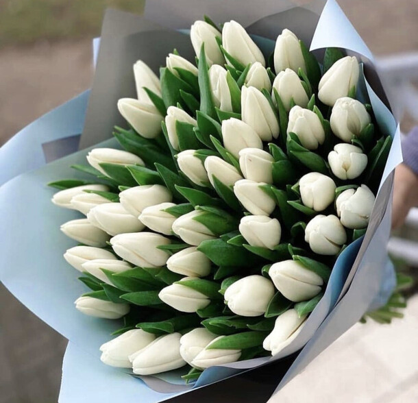 Букет из 51 тюльпанов, артикул F1176042 - 11641 рублей, доставка по городу. Flawery - доставка цветов