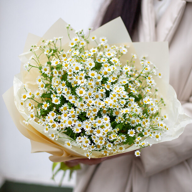 Ромашки, артикул F1224535 - 3790 рублей, доставка по городу. Flawery - доставка цветов