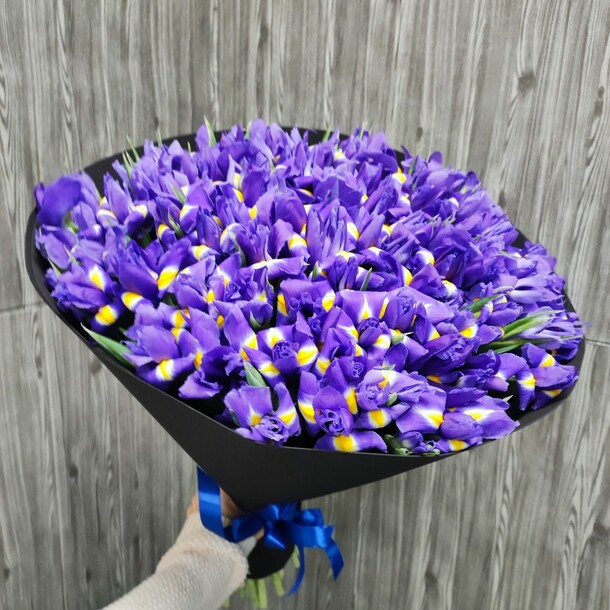 Букет из 101 синего ириса, артикул F1150749 - 15019 рублей, доставка по городу. Flawery - доставка цветов