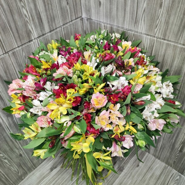 Букет из 101 альстромерии микс, артикул F1150753 - 16928 рублей, доставка по городу. Flawery - доставка цветов