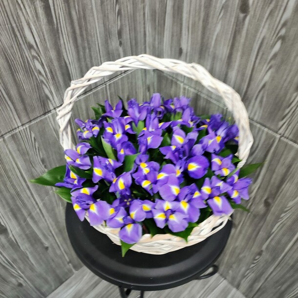 29 синих ирисов в корзине, артикул F1151216 - 7248 рублей, доставка по городу. Flawery - доставка цветов