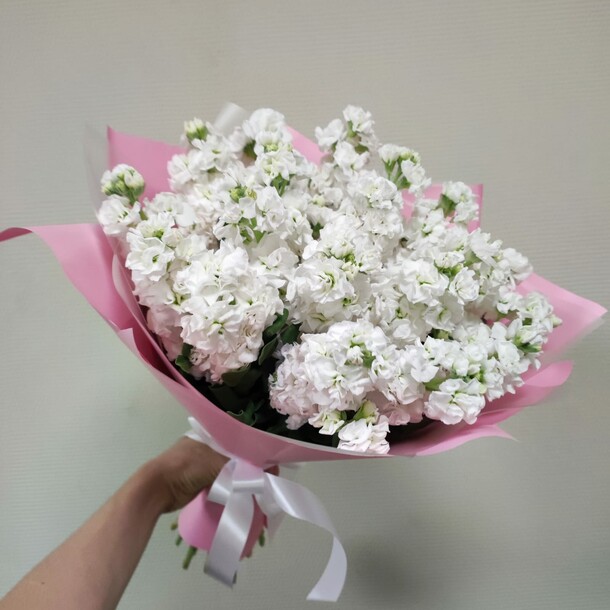 Букет из 19 белых матиол, артикул F1153492 - 7248 рублей, доставка по городу. Flawery - доставка цветов