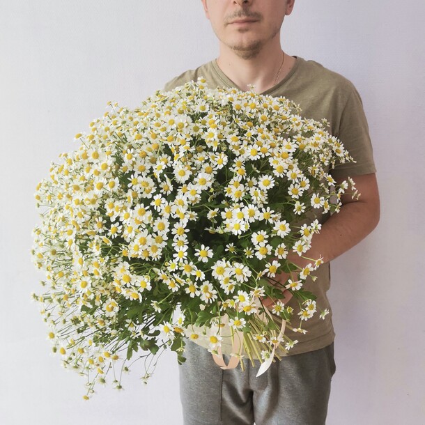 Букет из 75  кустовой ромашки, артикул F1153678 - 18138 рублей, доставка по городу. Flawery - доставка цветов