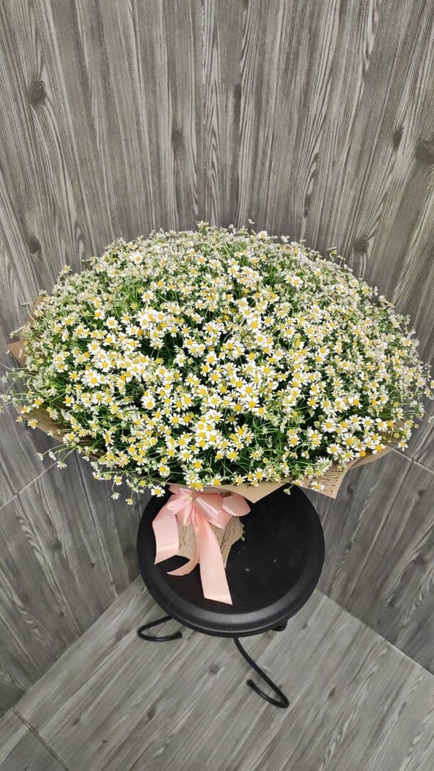 Букет из 101 кустовой ромашки, артикул F1156639 - 24188 рублей, доставка по городу. Flawery - доставка цветов