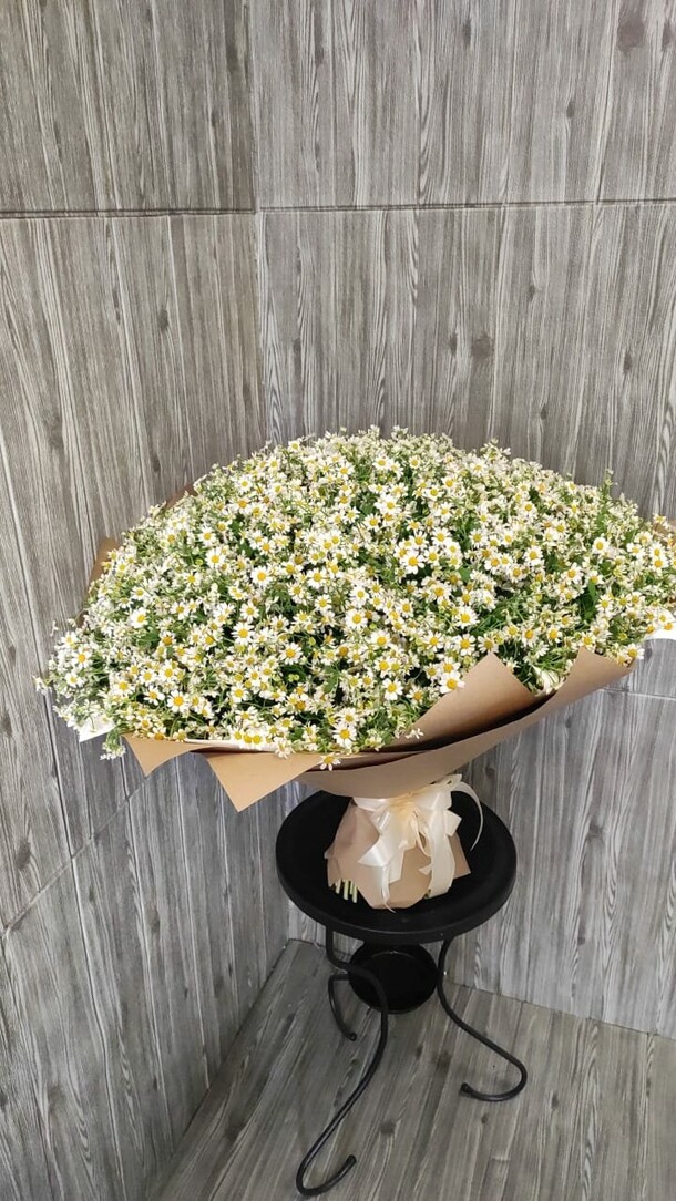 Букет из 151 кустовой ромашки, артикул F1193302 - 30238 рублей, доставка по городу. Flawery - доставка цветов