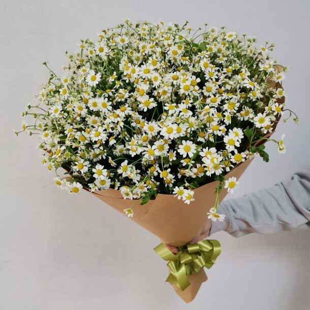 Букет из 25 кустовых ромашек, артикул F1214719 - 6958 рублей, доставка по городу. Flawery - доставка цветов