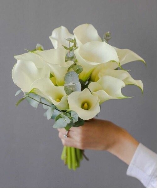 Букет невесты из калл с эвкалиптом, артикул F1235512 - 10936 рублей, доставка по городу. Flawery - доставка цветов