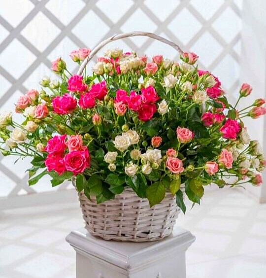 Корзина цветов, артикул F1255314 - 14520 рублей, доставка по городу. Flawery - доставка цветов
