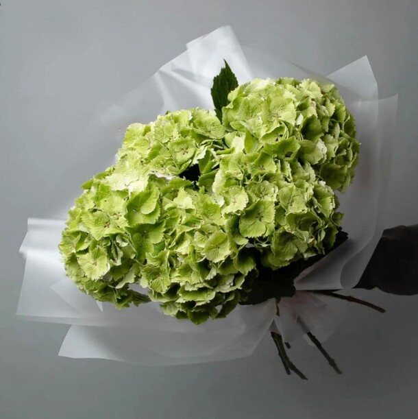 Букет гортензий, артикул F1272074 - 4620 рублей, доставка по городу. Flawery - доставка цветов