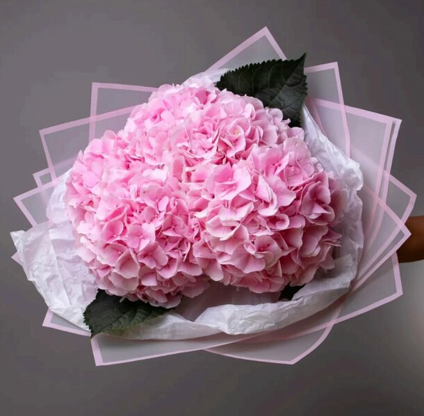 Букет гортензий, артикул F1274987 - 3520 рублей, доставка по городу. Flawery - доставка цветов