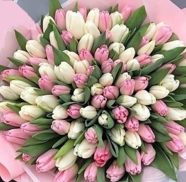 101 тюльпан, артикул F1369627 - 26296 рублей, доставка по городу. Flawery - доставка цветов