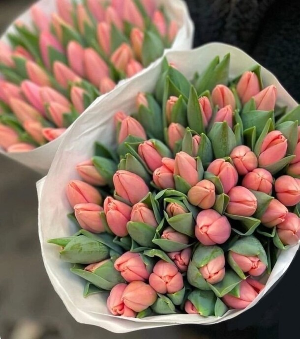 Букет розовых тюльпанов, артикул F1369633 - 13386 рублей, доставка по городу. Flawery - доставка цветов
