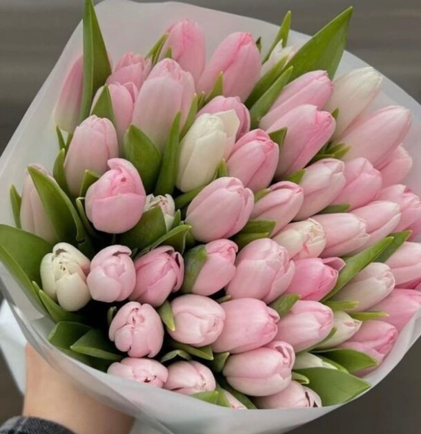 Букет тюльпанов «весна», артикул F1369647 - 13386 рублей, доставка по городу. Flawery - доставка цветов